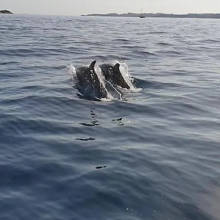 Fra I Mari * Palau